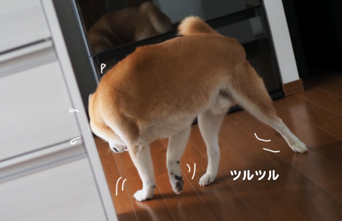 2日夕ブログ２