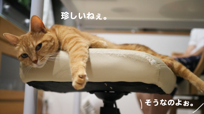 1日夕ブログ２