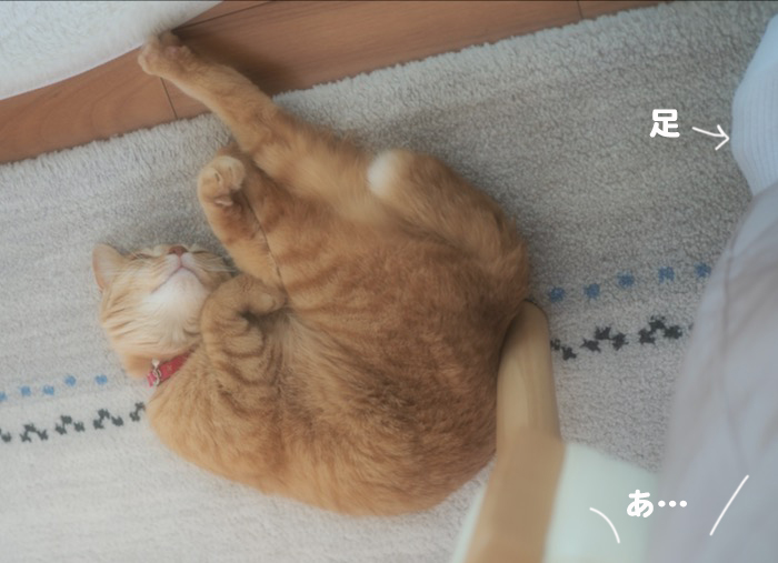 22日夕ブログ２