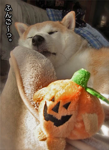 25日ブログ11.jpg