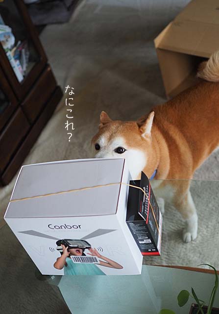 28日ブログ2