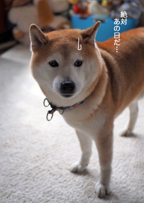 11日ブログ８