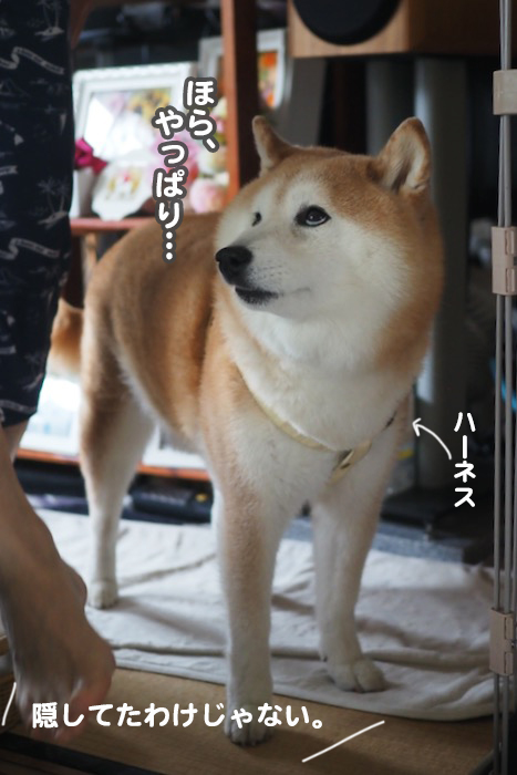 13日ブログ５