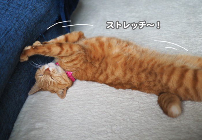 26日ブログ１