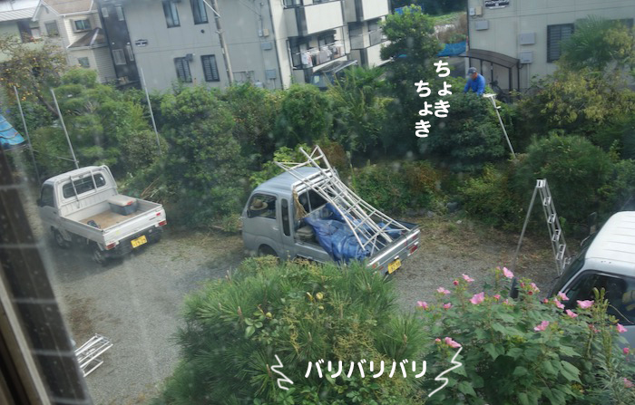 6日ブログ４
