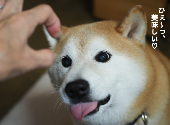30日夜ブログ13