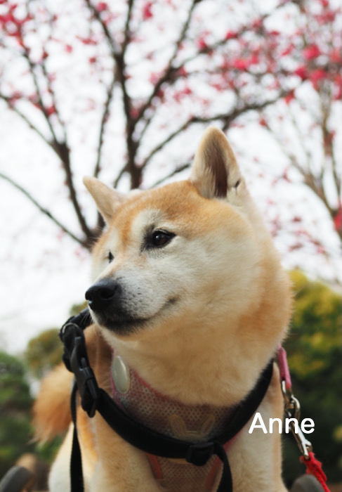 13日夜ブログ３