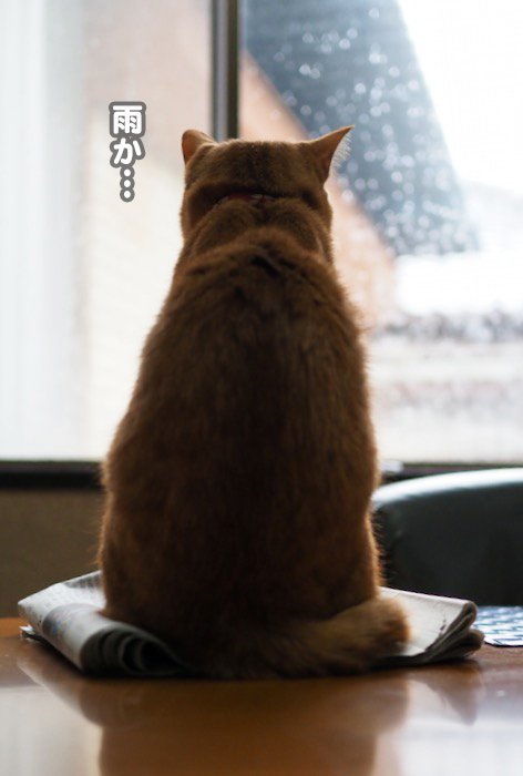 25日夕ブログ2