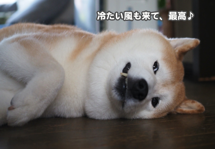 30日夕ブログ３