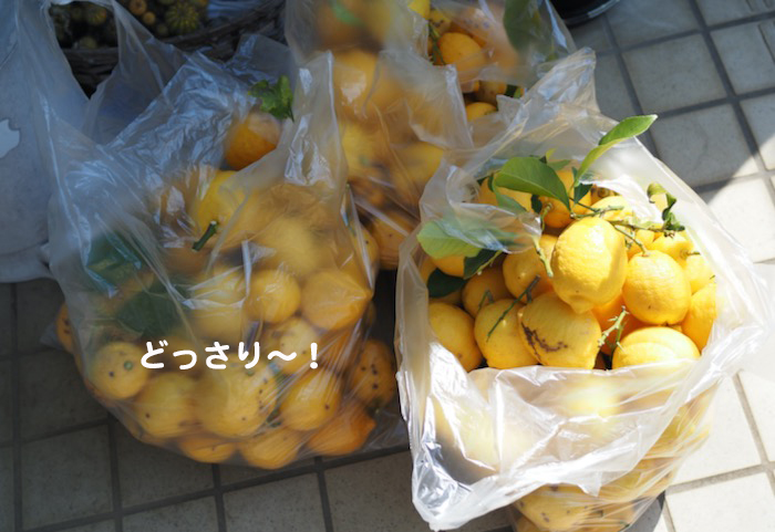 30日ブログ３