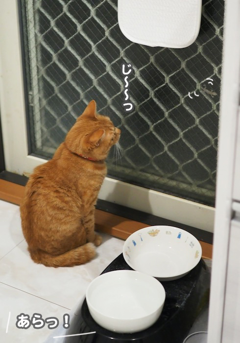 4日夕ブログ３