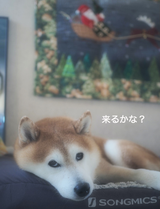 7日夜ブログ２
