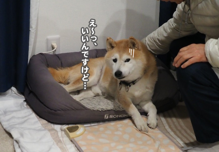 7日ブログ３