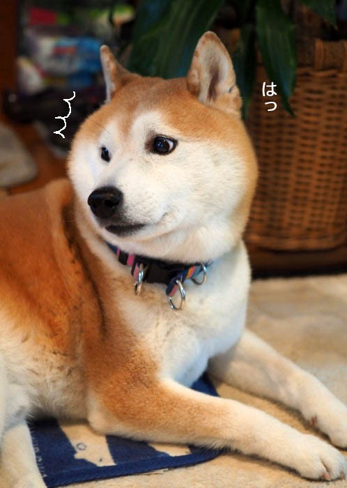 15日ブログ4