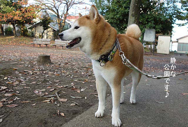 23日ブログ3