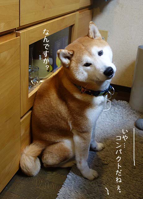 14日ブログ5