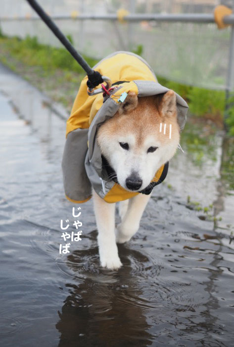 14日夕ブログ５