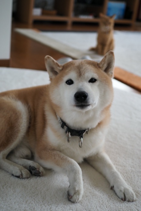 23日ブログ１