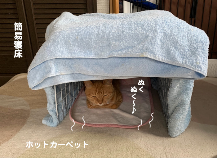 7日ブログ３