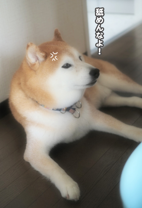 22日ブログ４