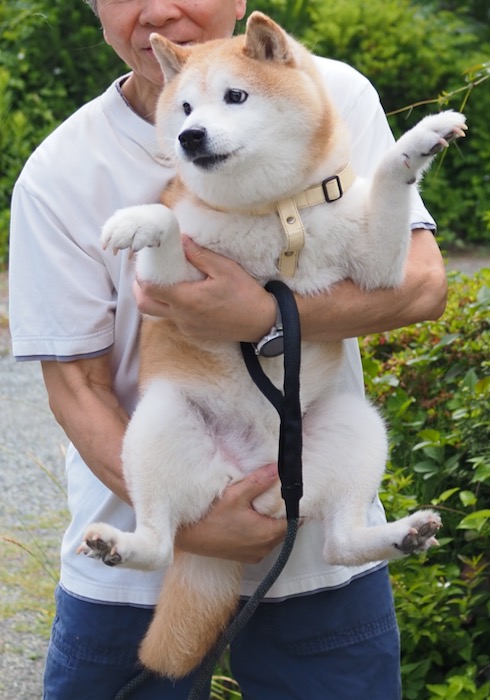 12日ブログ２０