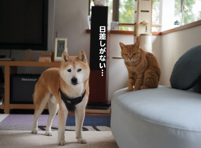 17日ブログ２