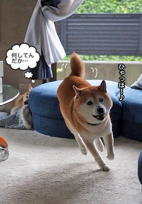 20日夜ブログ６