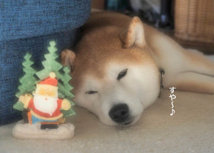 20日午後ブログ２