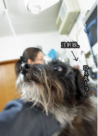 22日ブログ4.jpg