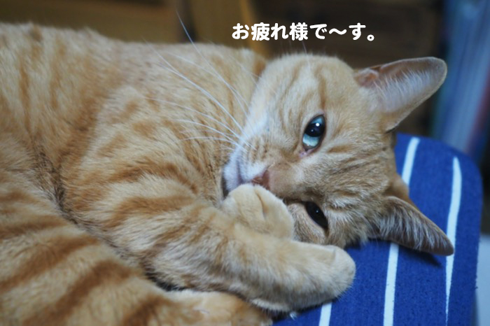 3日夕ブログ４