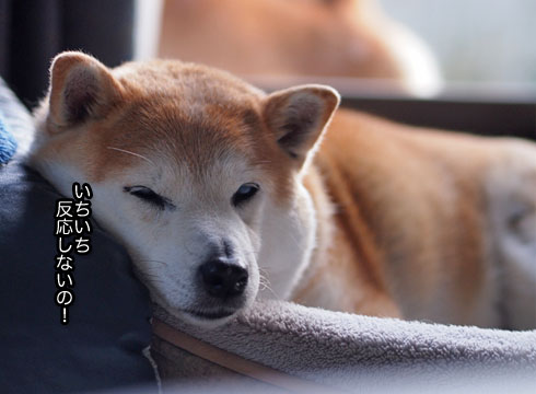 14日ブログ10.jpg