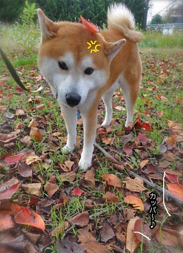 23日ブログ4.jpg