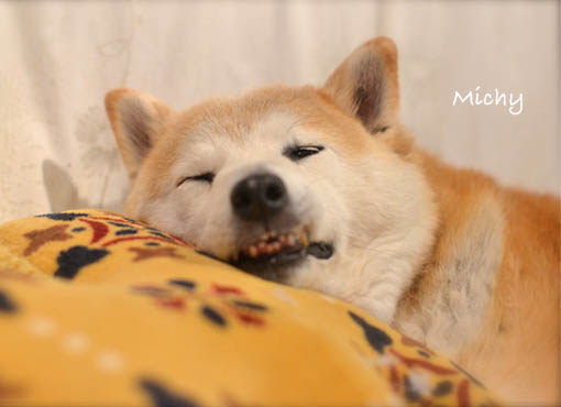 27日ブログ8.jpg