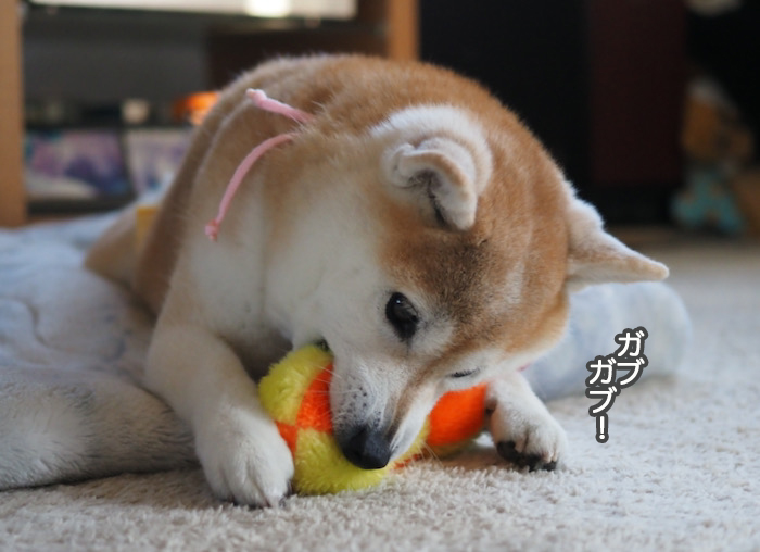 25日夜ブログ５