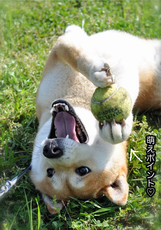 28日ブログ8.jpg