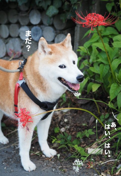 24日ブログ３