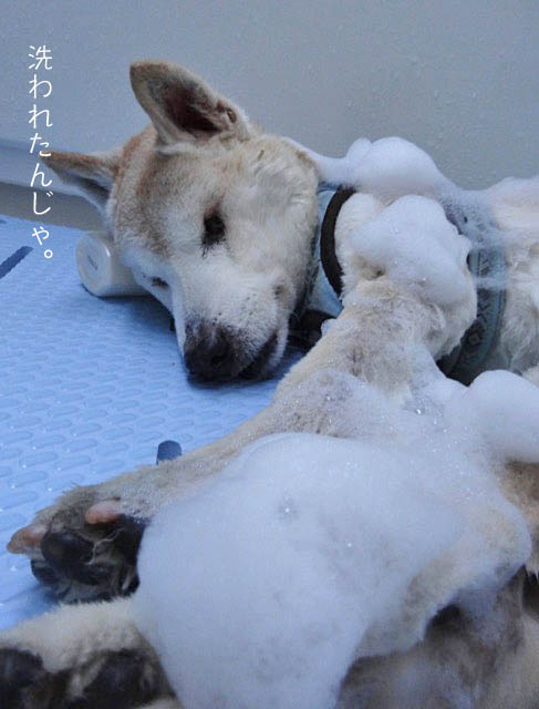 22日ブログ9