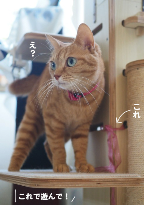 23日ブログ５