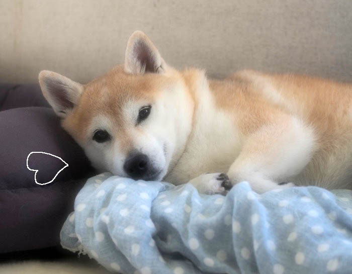 18日ブログ２