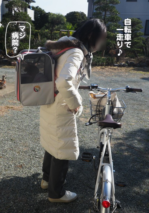 9日ブログ５