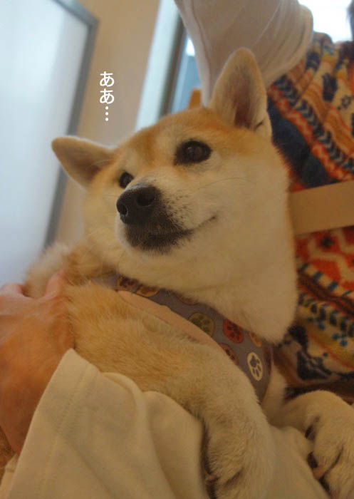 27日夜ブログ３