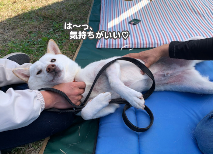 29日夕ブログ１１