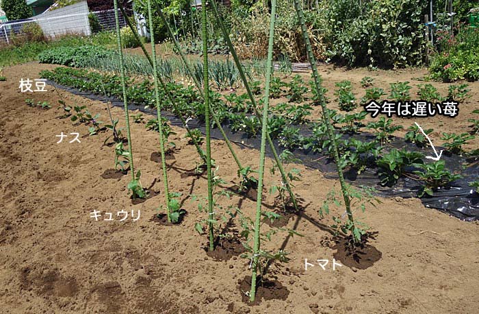 14日ブログ３
