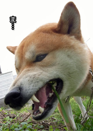 30日ブログ8.jpg