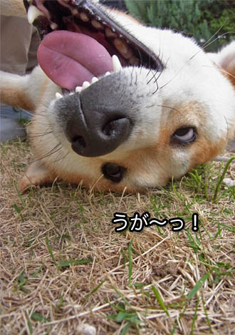 24日ブログ8.jpg