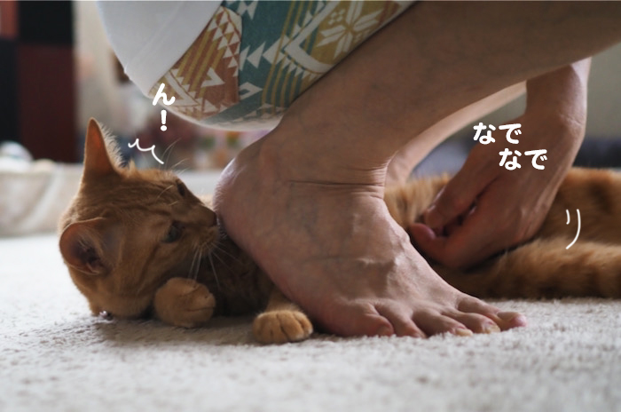 31日夕ブログ４