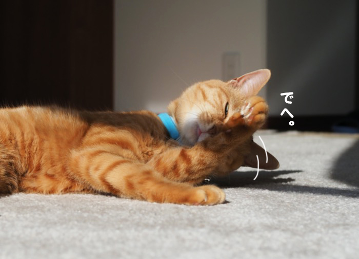 14日夕ブログ６