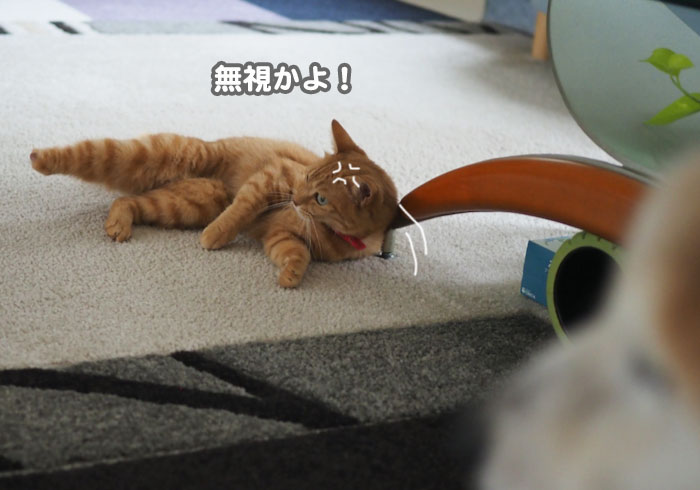7日夕ブログ１０