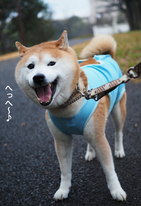 1日夜ブログ２