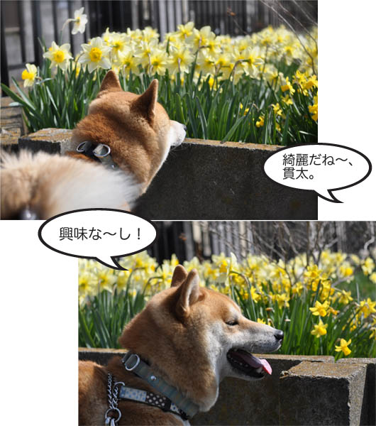 4日ブログ2.jpg